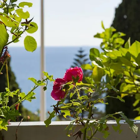 Terrazza Sul Golfo Paradiso